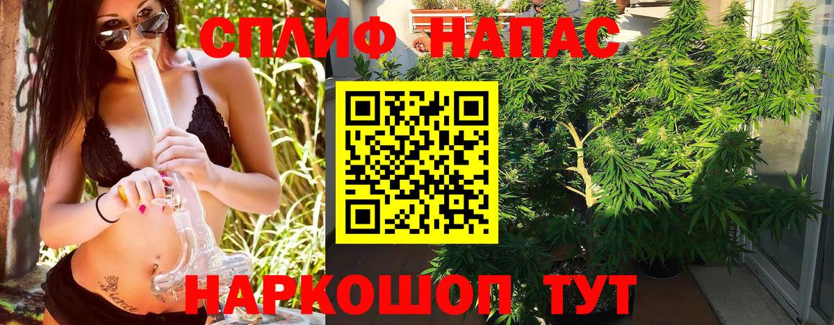 Бошки марихуана план  Марихуана семена  Кыштым  Вход с VPN  Каннабис THC 21% 